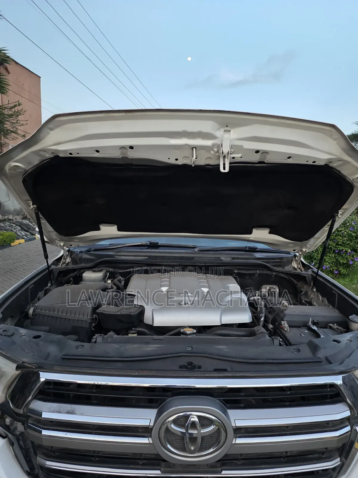 Toyota Land Cruiser 2013 White