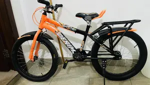 Bicycle 20 Inch (Kids)