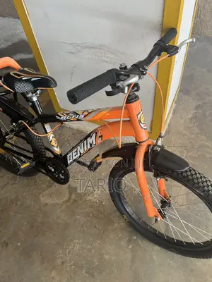 Bicycle 20 Inch (Kids)