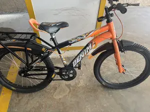 Bicycle 20 Inch (Kids)