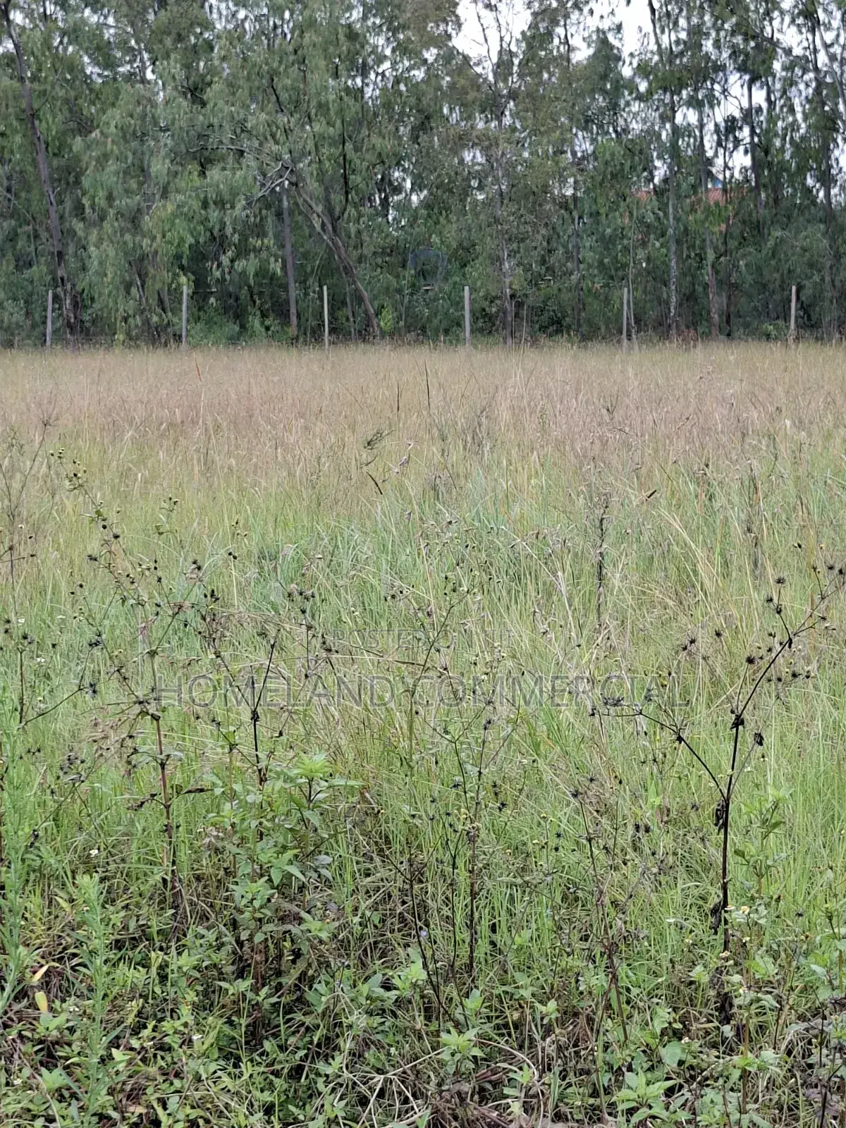 11 Acres Prime Land for Jv on Limuru Road