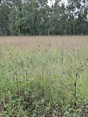 11 Acres Prime Land for Jv on Limuru Road