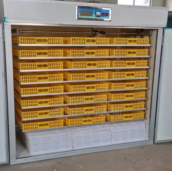 Automatic Eggs Incubator