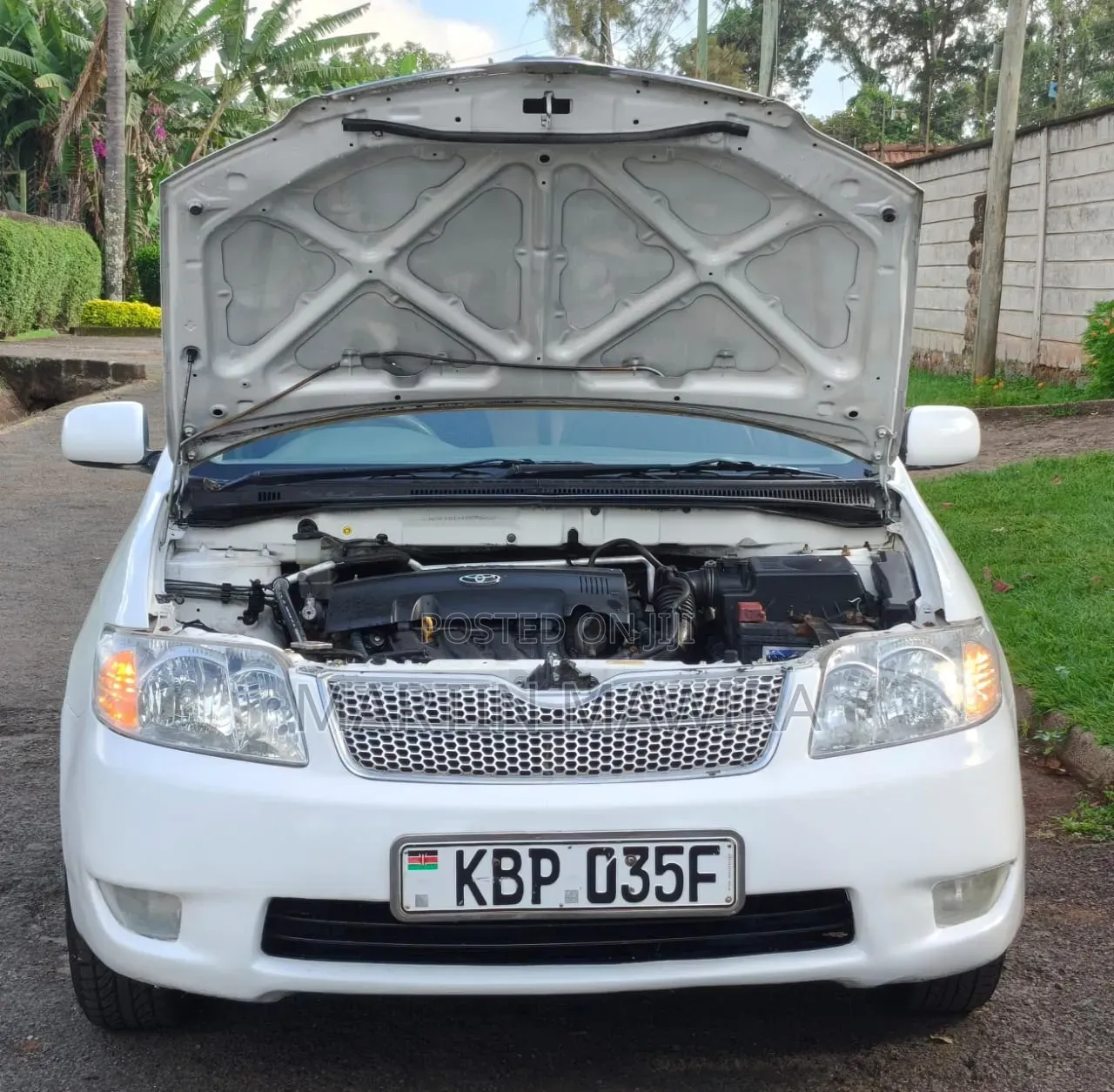 Toyota Corolla Fielder 2006 White