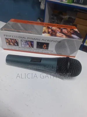 Dynamic Microphone