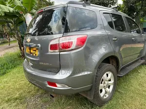 Chevrolet Trailblazer 2014 Silver