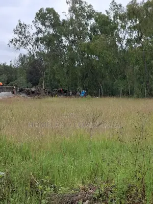 1 Acre for Sale at Karen Brook