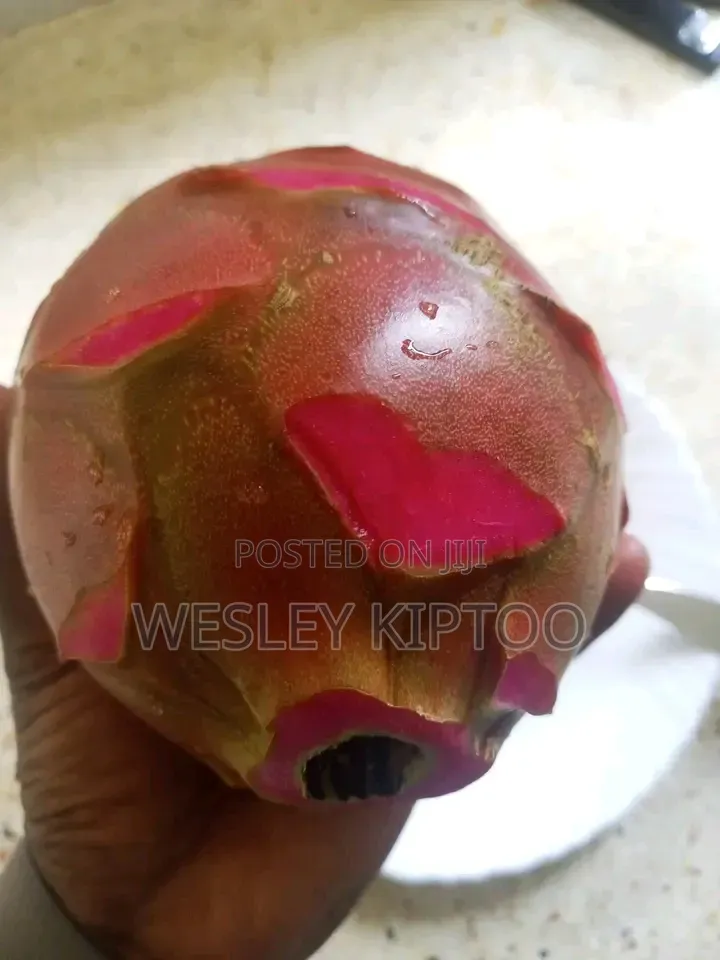 Dragon Fruits