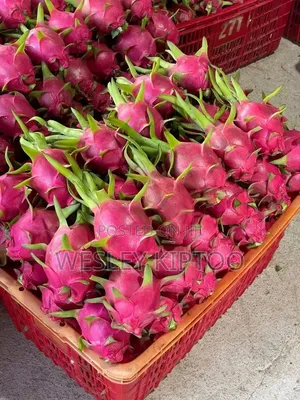 Dragon Fruits