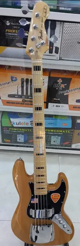 Professional Fender Guitar(4strings)