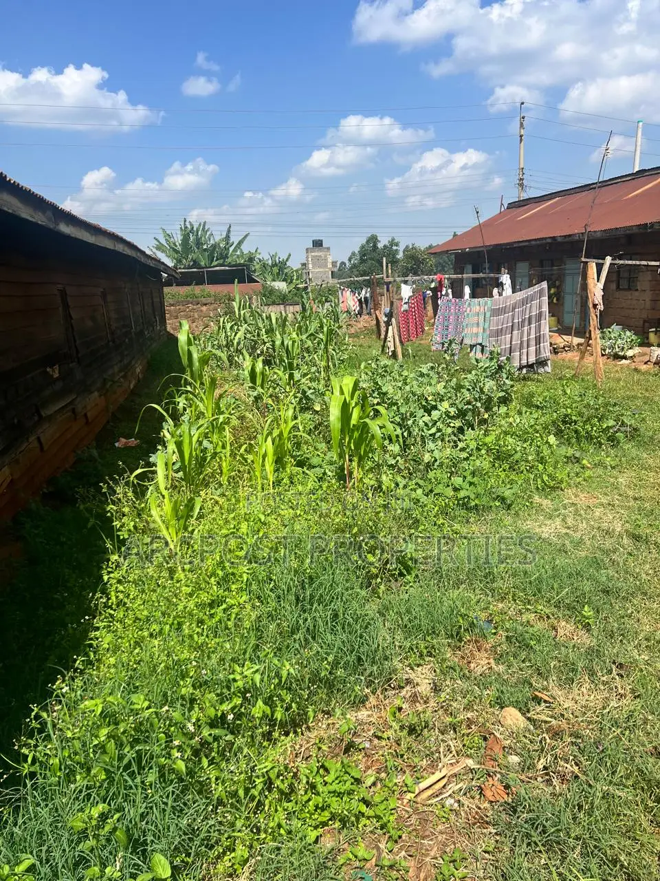Strategic Quarter Acre Development Land for Sale in Ndenderu Town