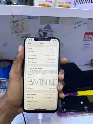 Apple iPhone 12 Pro Max 256 GB Blue