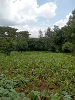 3/4 Acre for Sale in Olkeri, Karen West.