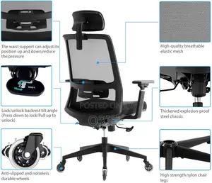 Office Chair : Ergonomic High Back Mesh Chair