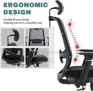 Office Chair : Ergonomic High Back Mesh Chair