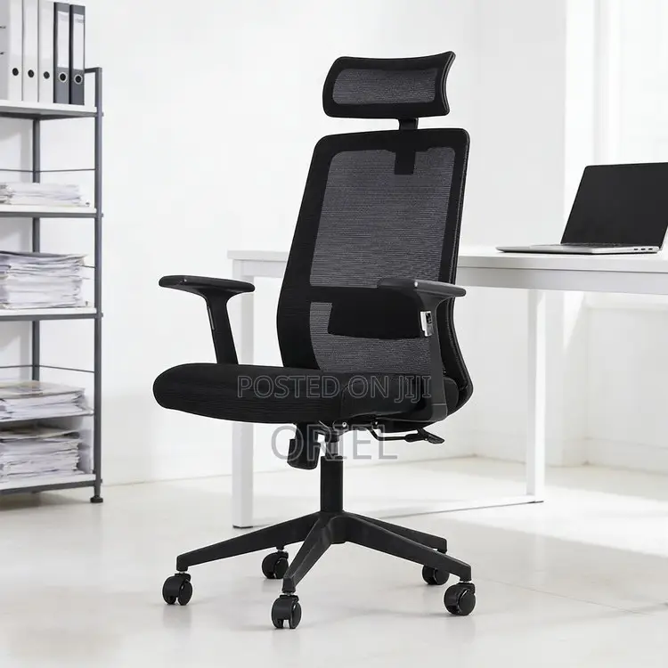 Office Chair : Ergonomic High Back Mesh Chair