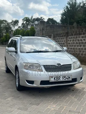 Toyota Corolla Fielder 2006 Silver