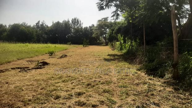 Agribusiness Land - thumbnail 5