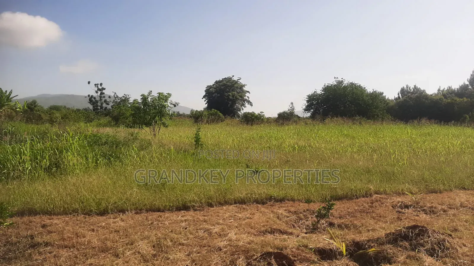 Agribusiness Land