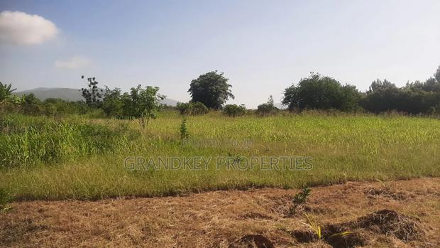 Agribusiness Land - thumbnail 6