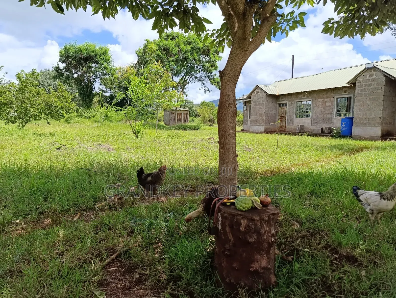 Agribusiness Land