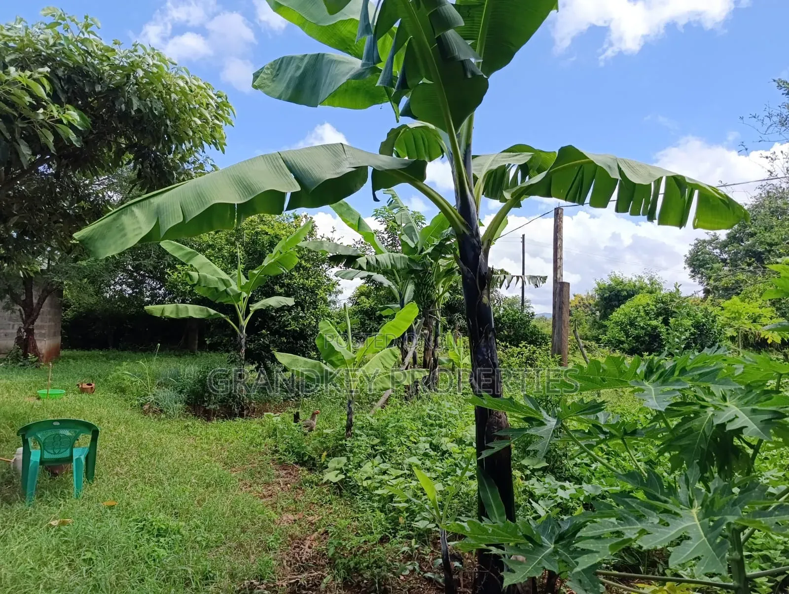 Agribusiness Land