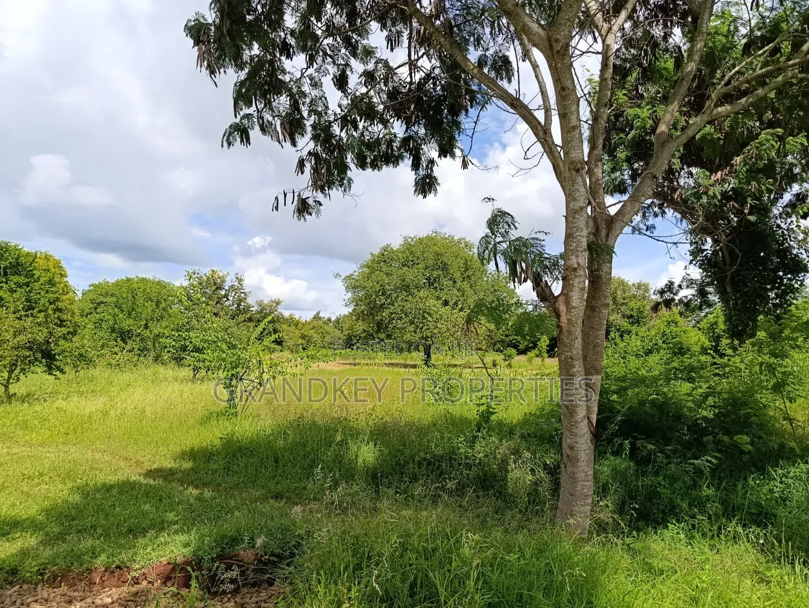 Agribusiness Land