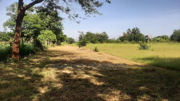 Agribusiness Land - thumbnail 12