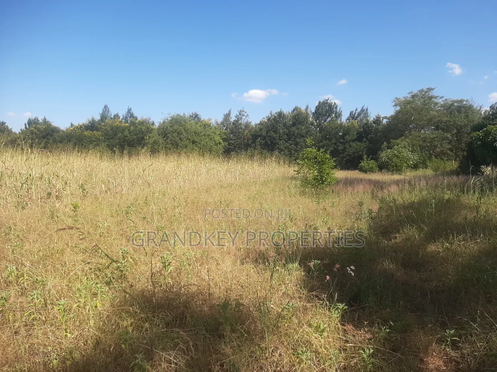 Agribusiness Land