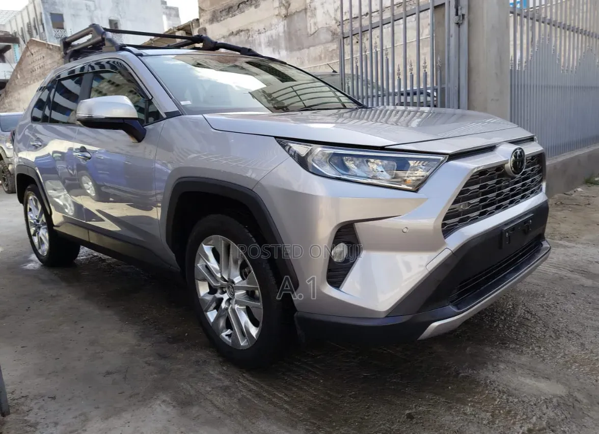 Toyota RAV4 XSE 2019 Silver