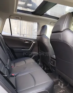 Toyota RAV4 XSE 2019 Silver