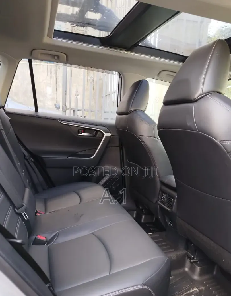 Toyota RAV4 XSE 2019 Silver