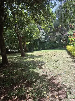 Land and Plat for Sale in Karenon Karenroad.