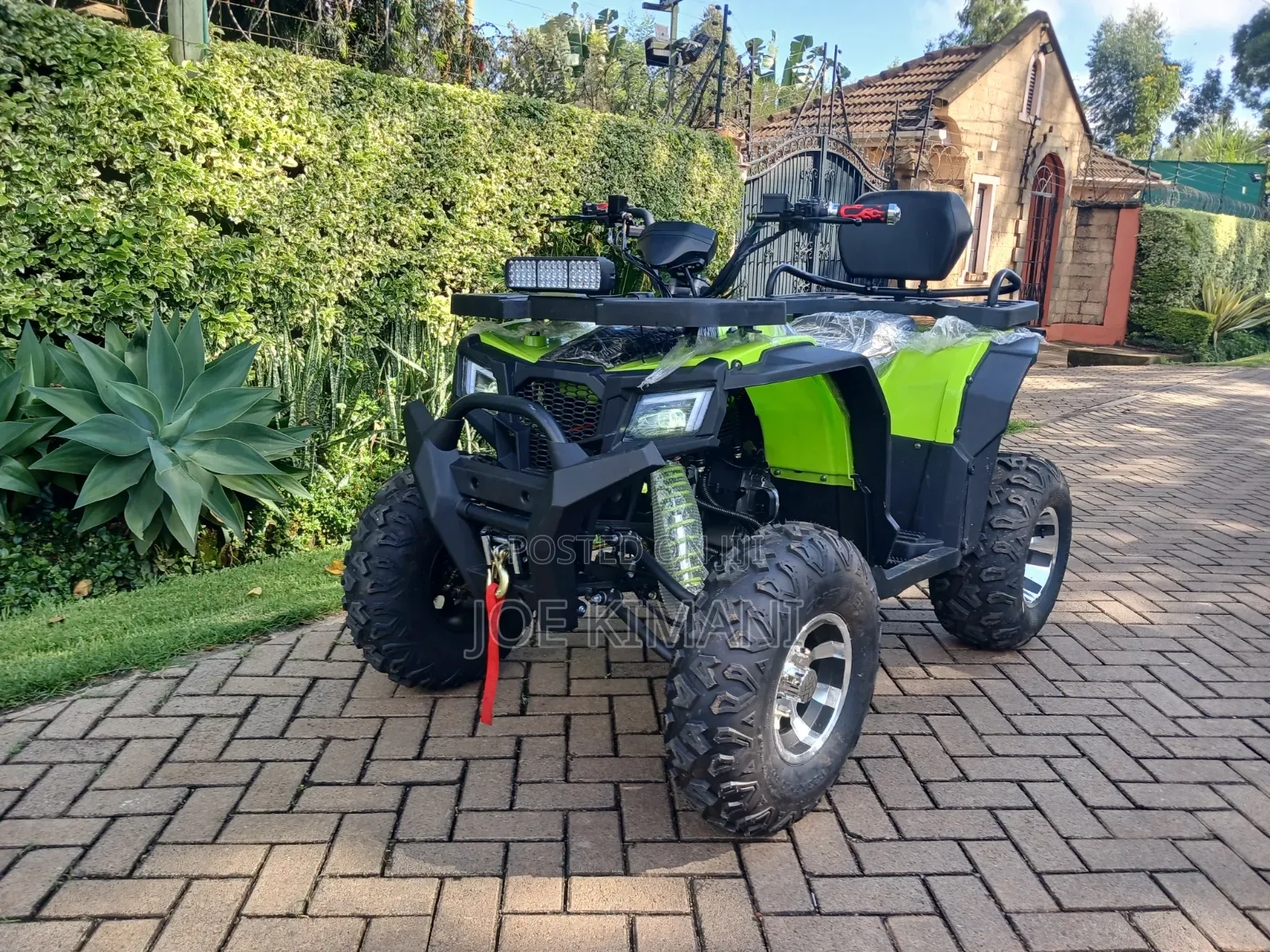 New Dayun Flasher 200cc 2026 Green