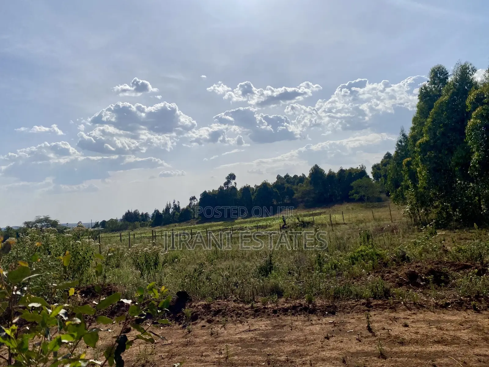 100*100 Land Kamangu, Kikuyu