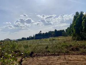 100*100 Land Kamangu, Kikuyu