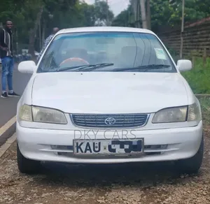 Toyota Corolla 2002 White
