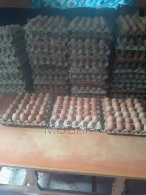 Table Eggs