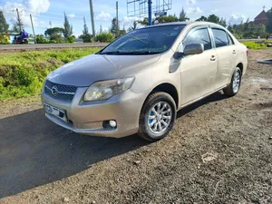 Toyota Axio 2009 Gold