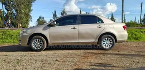 Toyota Axio 2009 Gold