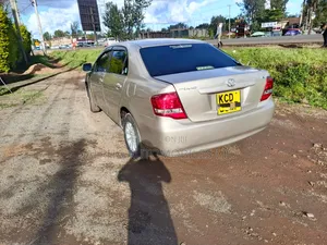 Toyota Axio 2009 Gold