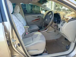 Toyota Axio 2009 Gold