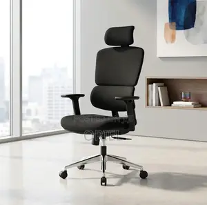 Modern Office Chair Orthopedic Fabric Office Chair