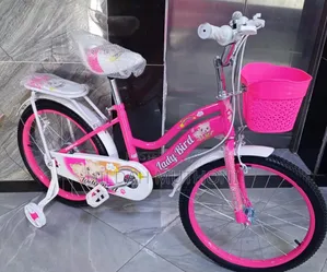 Size 20 Bicycle Without Training Wheels