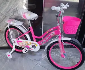 Size 20 Bicycle Without Training Wheels