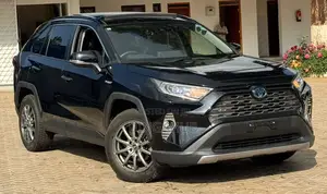 Toyota RAV4 XLE Premium AWD 2019 Black