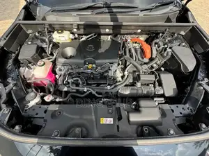 Toyota RAV4 XLE Premium AWD 2019 Black
