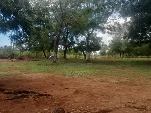 Plots for Sale Shanzu