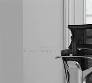 Office Chairs; Executive Office Orthopedic Chairs
