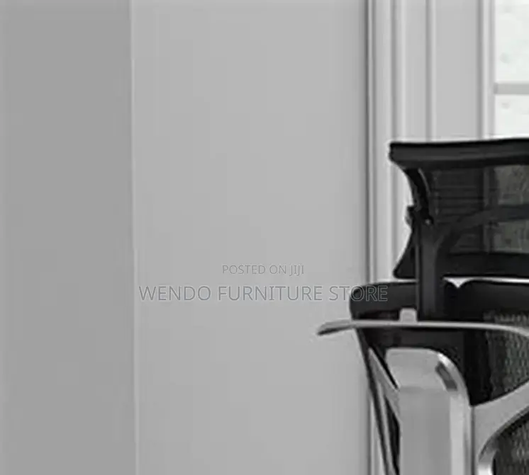 Office Chairs; Executive Office Orthopedic Chairs